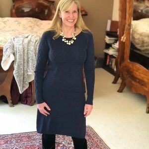 Ibex sweater dress